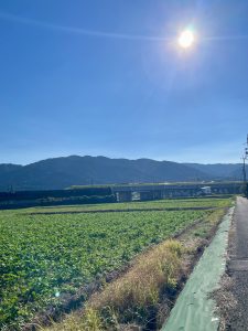 微笑亭　ドクターイエロー