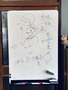 微笑亭　ぎふやくぜん研究所　講座