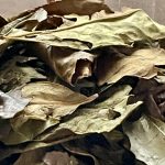 微笑亭　薬膳茶