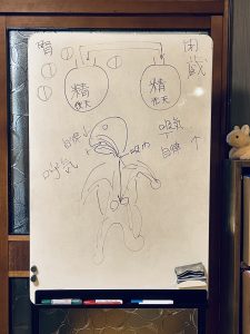 微笑亭　薬膳講座